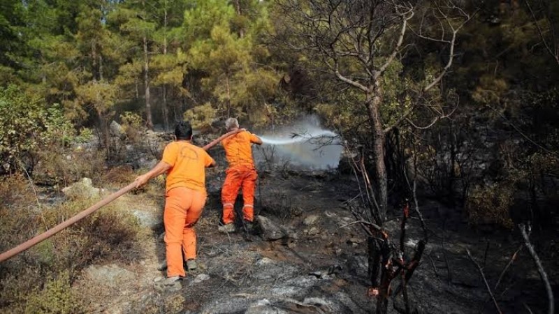 ÇİNE'DE 7 DÖNÜMLÜK ORMANLIK ALAN ZARAR GÖRDÜ